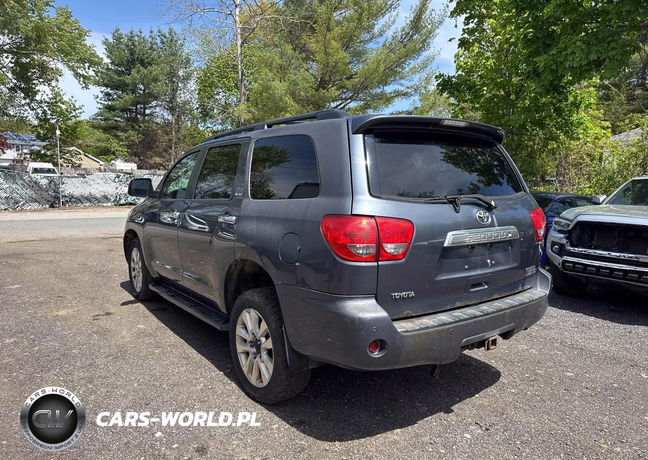 2010 Toyota Sequoia Platinum VIN:5TDDY5G18AS033686 - 3