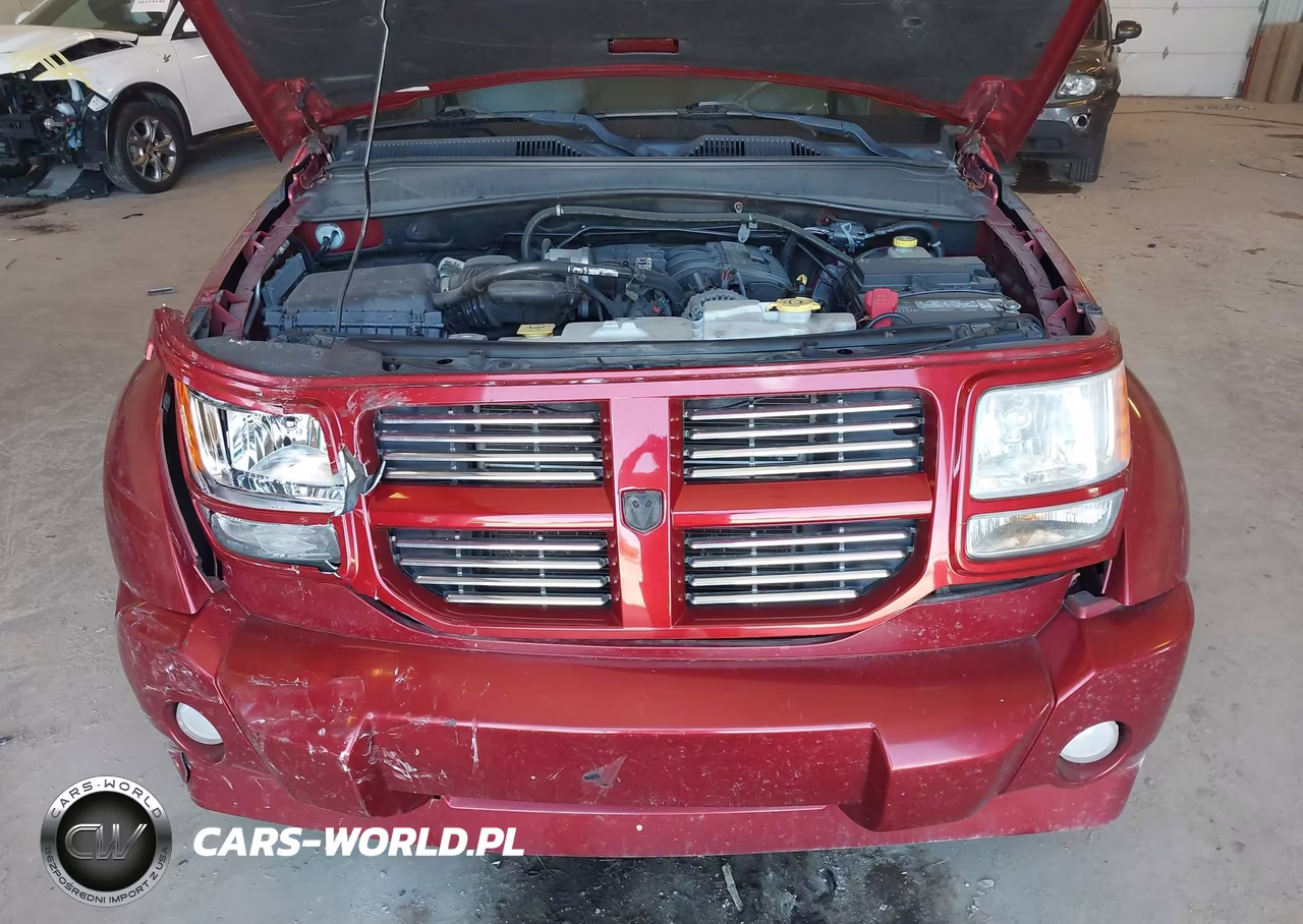2010 Dodge Nitro Sxt VIN:1D4PU5GX9AW130492 - 10