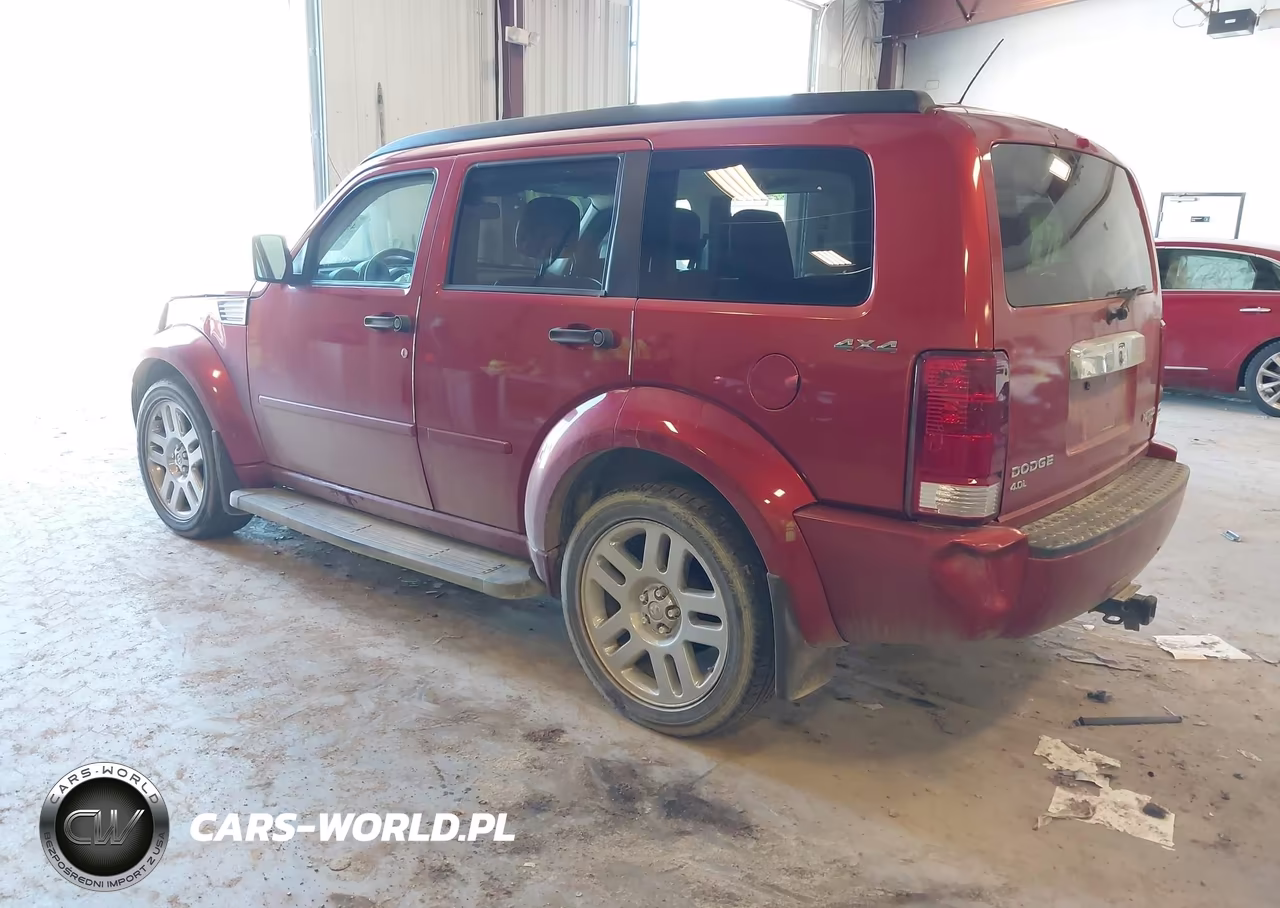 2010 Dodge Nitro Sxt VIN:1D4PU5GX9AW130492 - 3
