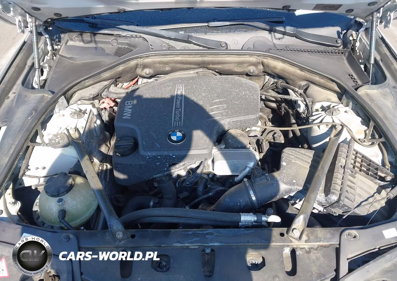 2014 BMW 528I VIN:WBA5A5C52ED502092 - 10