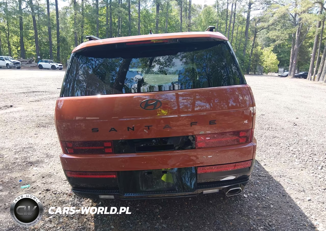 2025 Hyundai Santa Fe Calligraphy VIN:5NMP54GL2SH141534 - 17