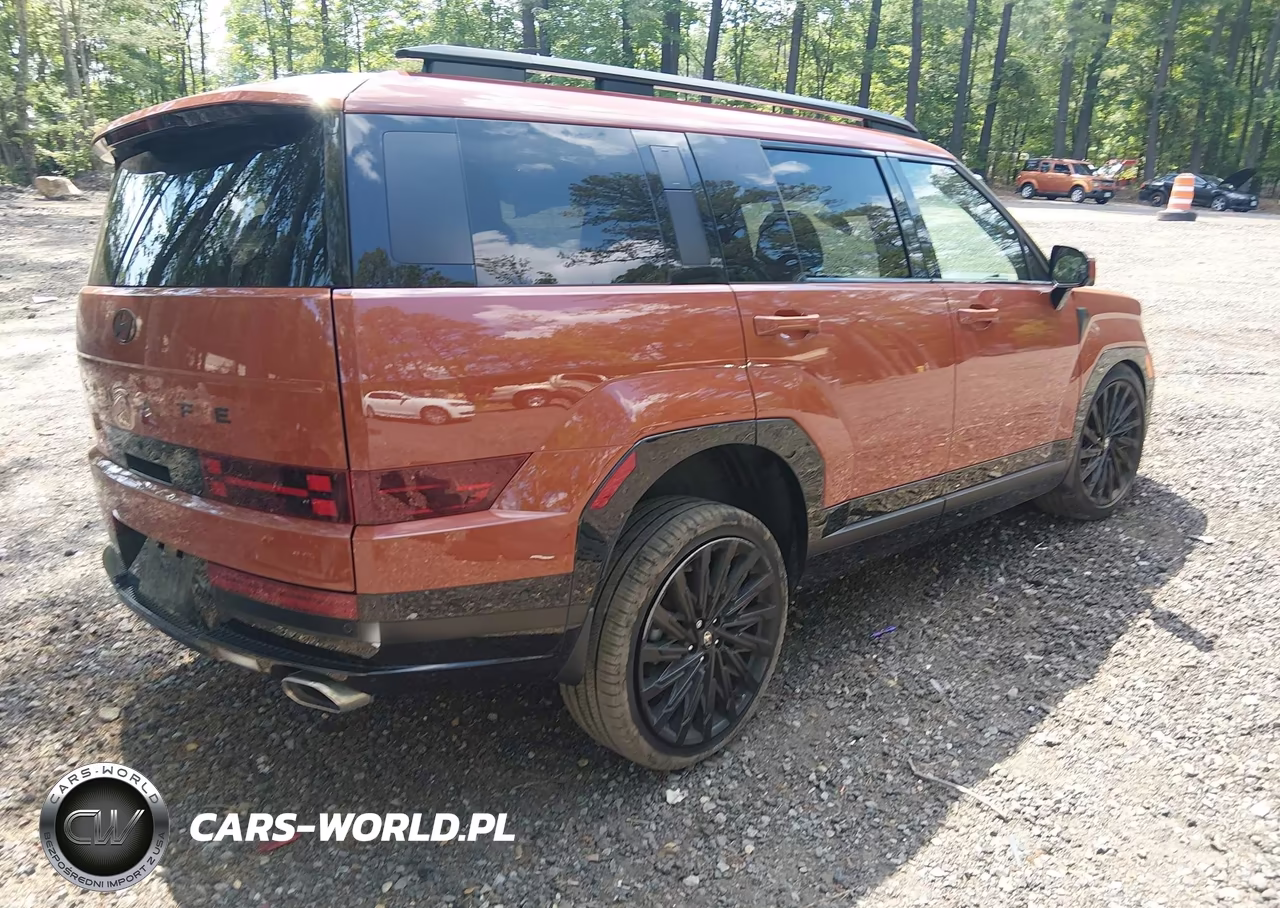 2025 Hyundai Santa Fe Calligraphy VIN:5NMP54GL2SH141534 - 4