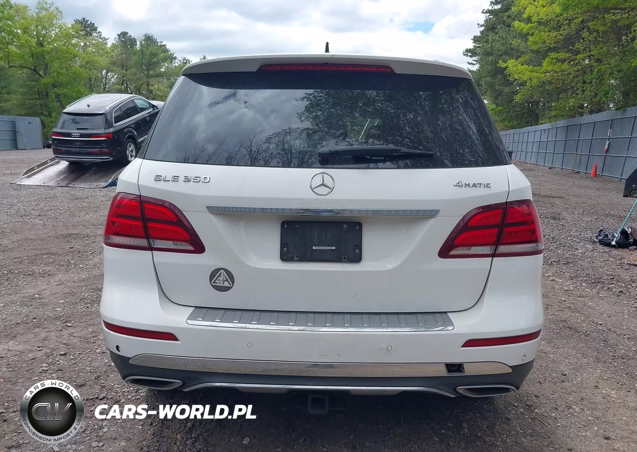 2017 Mercedes-Benz Gle 350 4Matic VIN:4JGDA5HB5HA917888 - 16