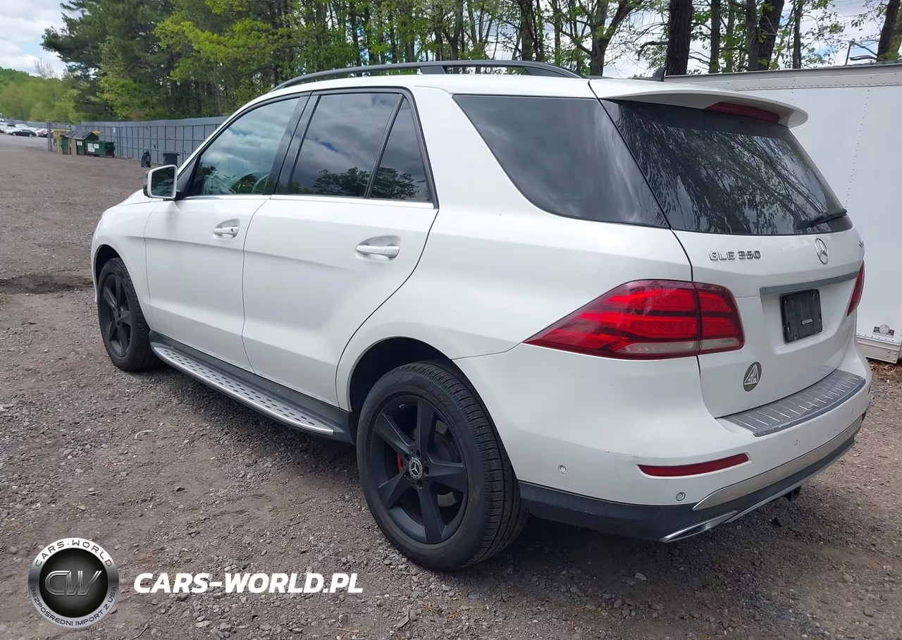 2017 Mercedes-Benz Gle 350 4Matic VIN:4JGDA5HB5HA917888 - 3