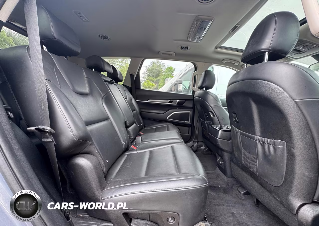 2020 Kia Telluride S VIN:5XYP64HC0LG065187 - 6