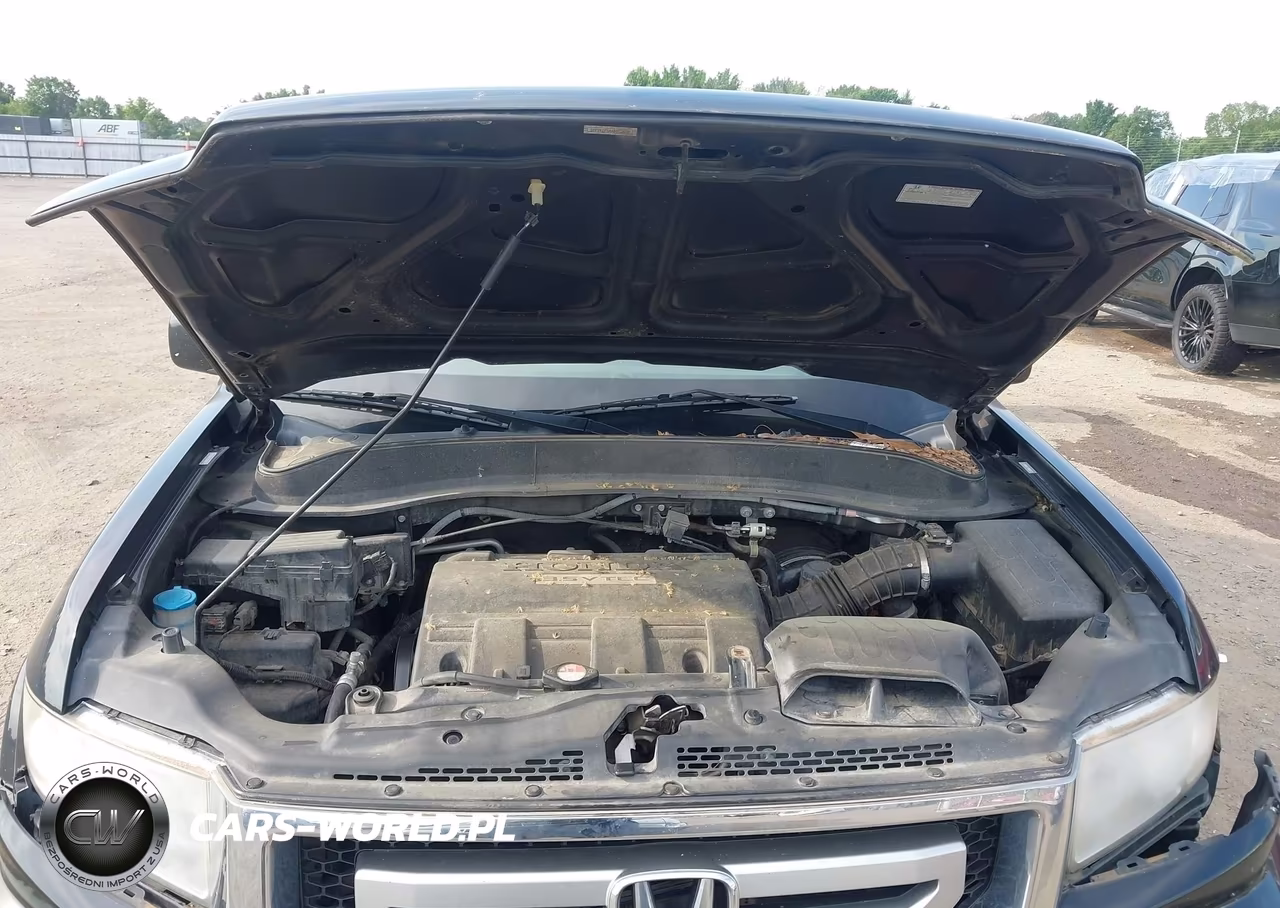2010 Honda Ridgeline Rtl VIN:5FPYK1F54AB002818 - 10