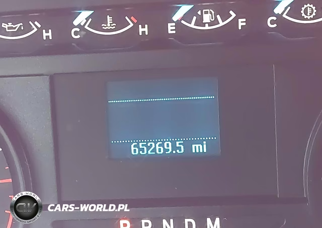 2019 Ford F-150 Xl VIN:1FTEX1CP4KKD08876 - 15