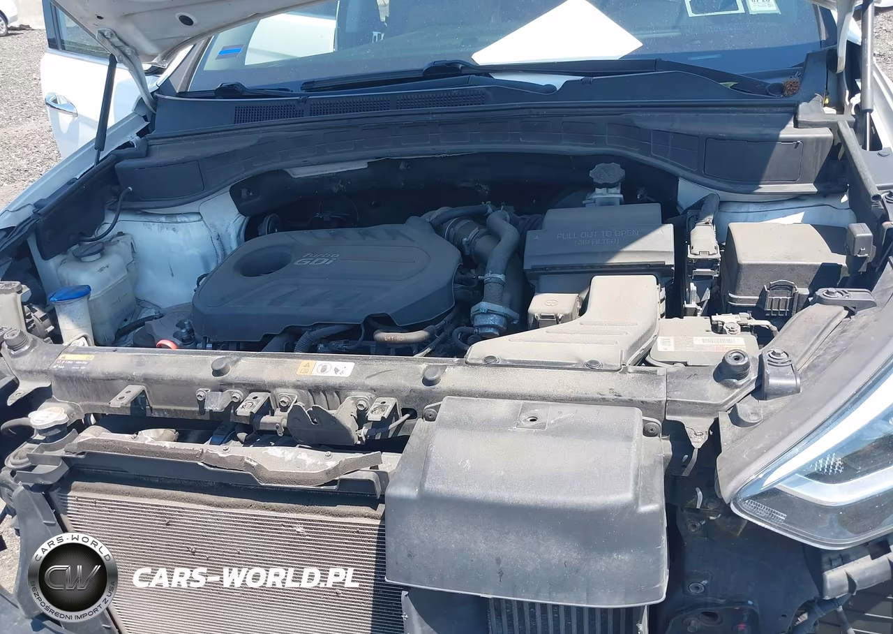 2017 Hyundai Santa Fe Sport 2.0T Ultimate VIN:5XYZWDLA7HG456472 - 10