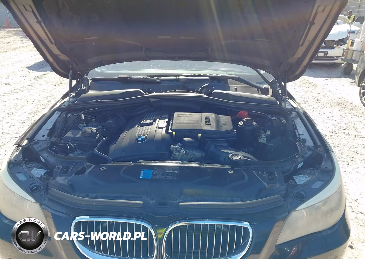 2010 BMW 535I xDrive VIN:WBANV9C54AC391086 - 10