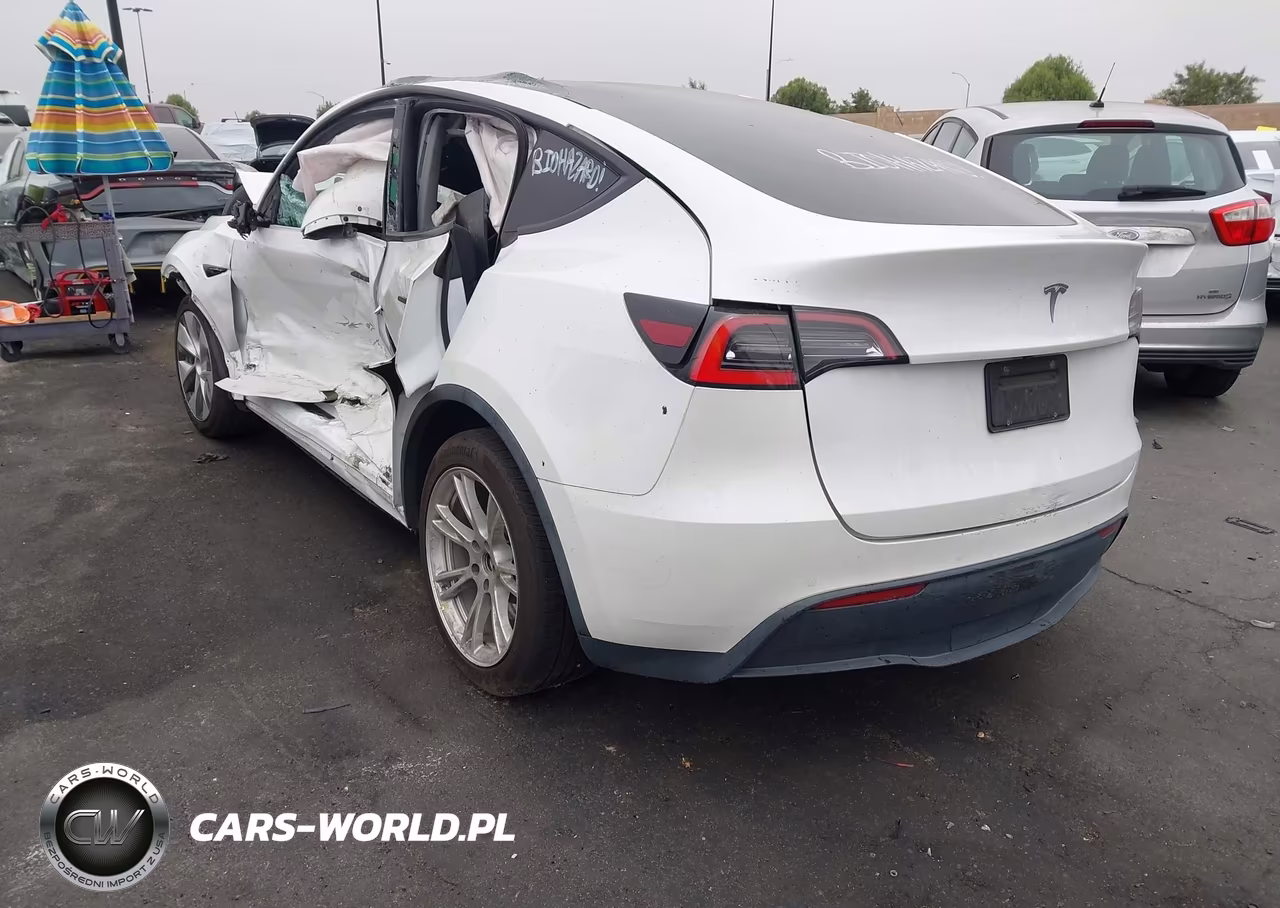 2021 Tesla Model Y Long Range Dual Motor All-Wheel Drive VIN:5YJYGDEEXMF064225 - 3