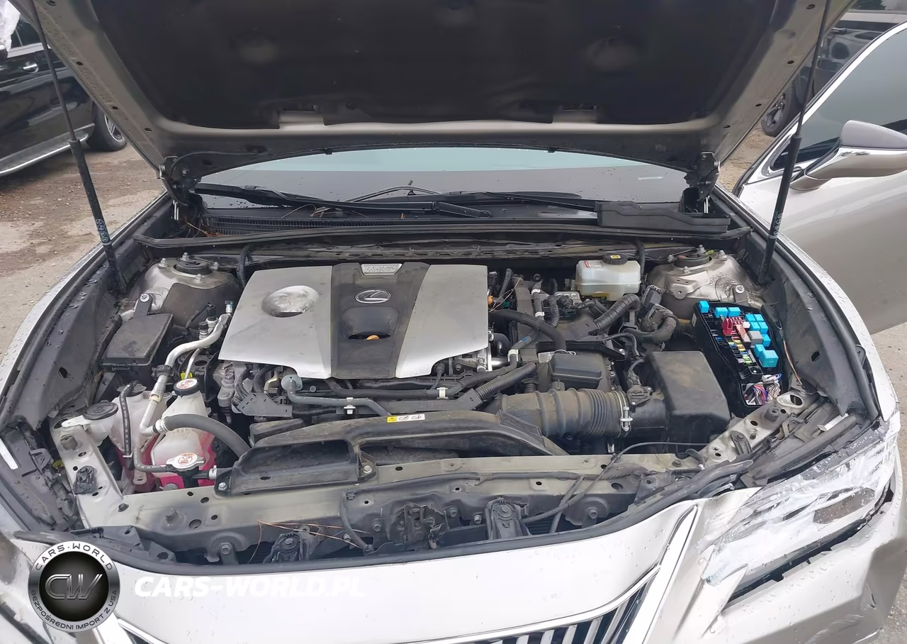 2020 Lexus Es 300H VIN:58AD21B14LU011785 - 10