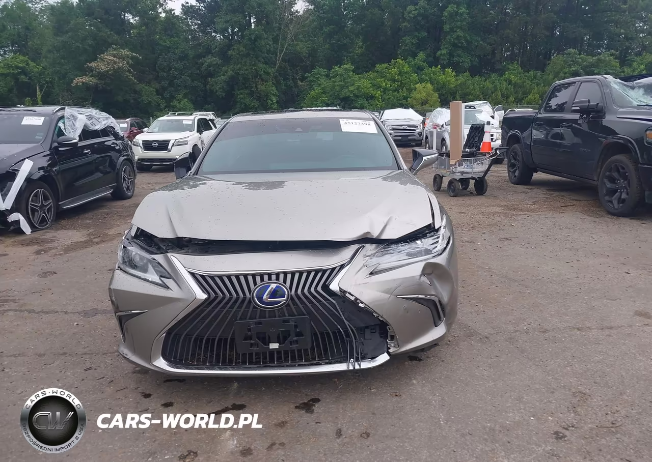 2020 Lexus Es 300H VIN:58AD21B14LU011785 - 13