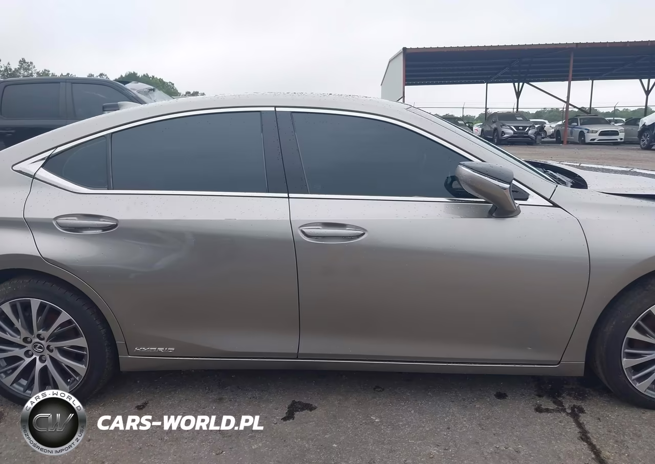 2020 Lexus Es 300H VIN:58AD21B14LU011785 - 14