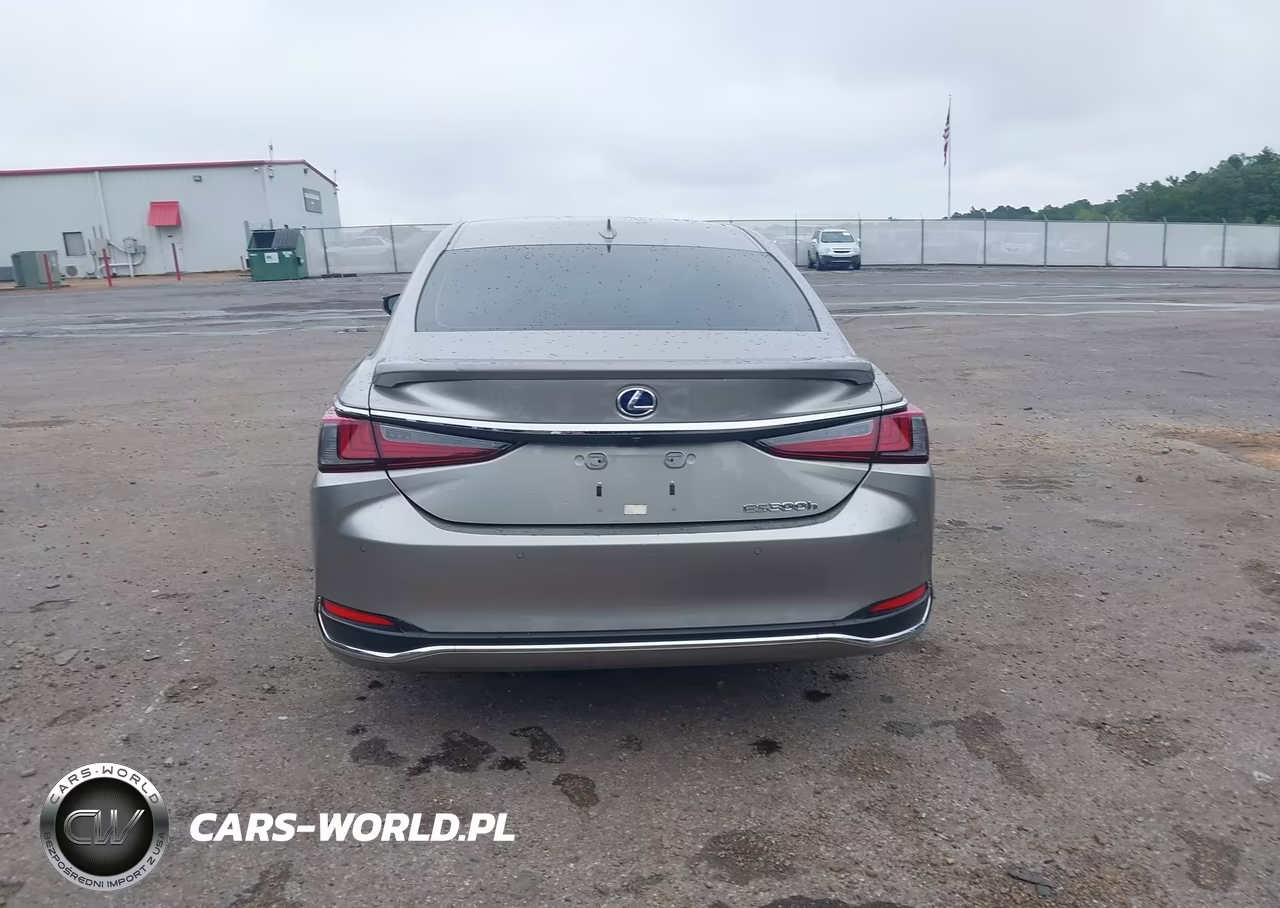 2020 Lexus Es 300H VIN:58AD21B14LU011785 - 17