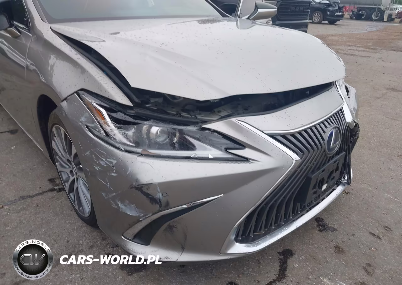 2020 Lexus Es 300H VIN:58AD21B14LU011785 - 18