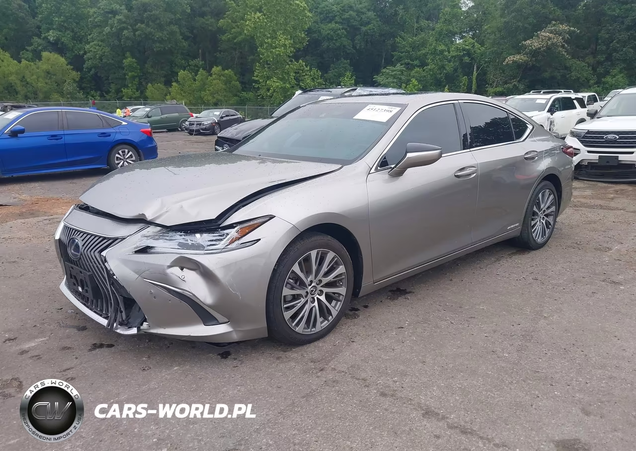 2020 Lexus Es 300H VIN:58AD21B14LU011785 - 2