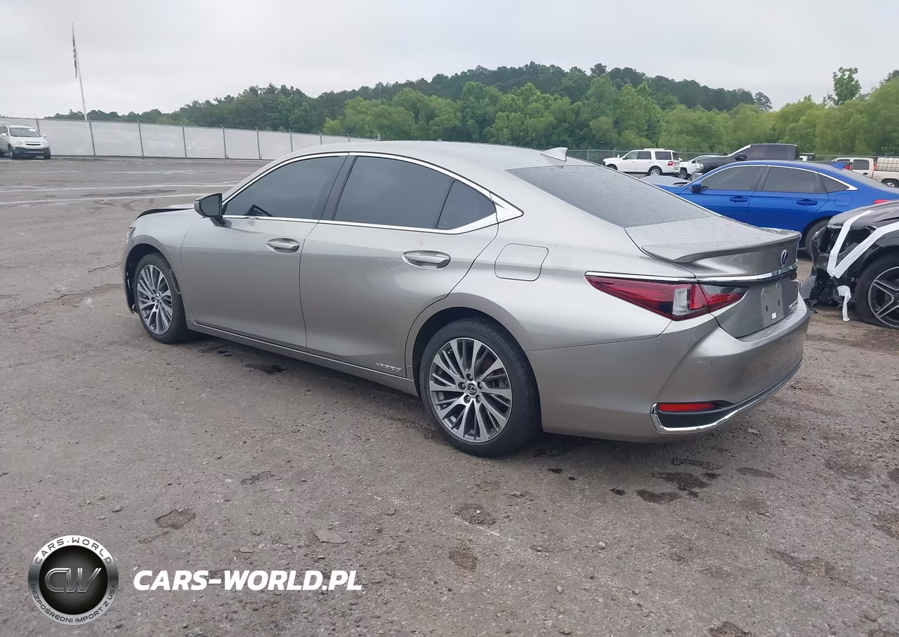 2020 Lexus Es 300H VIN:58AD21B14LU011785 - 3