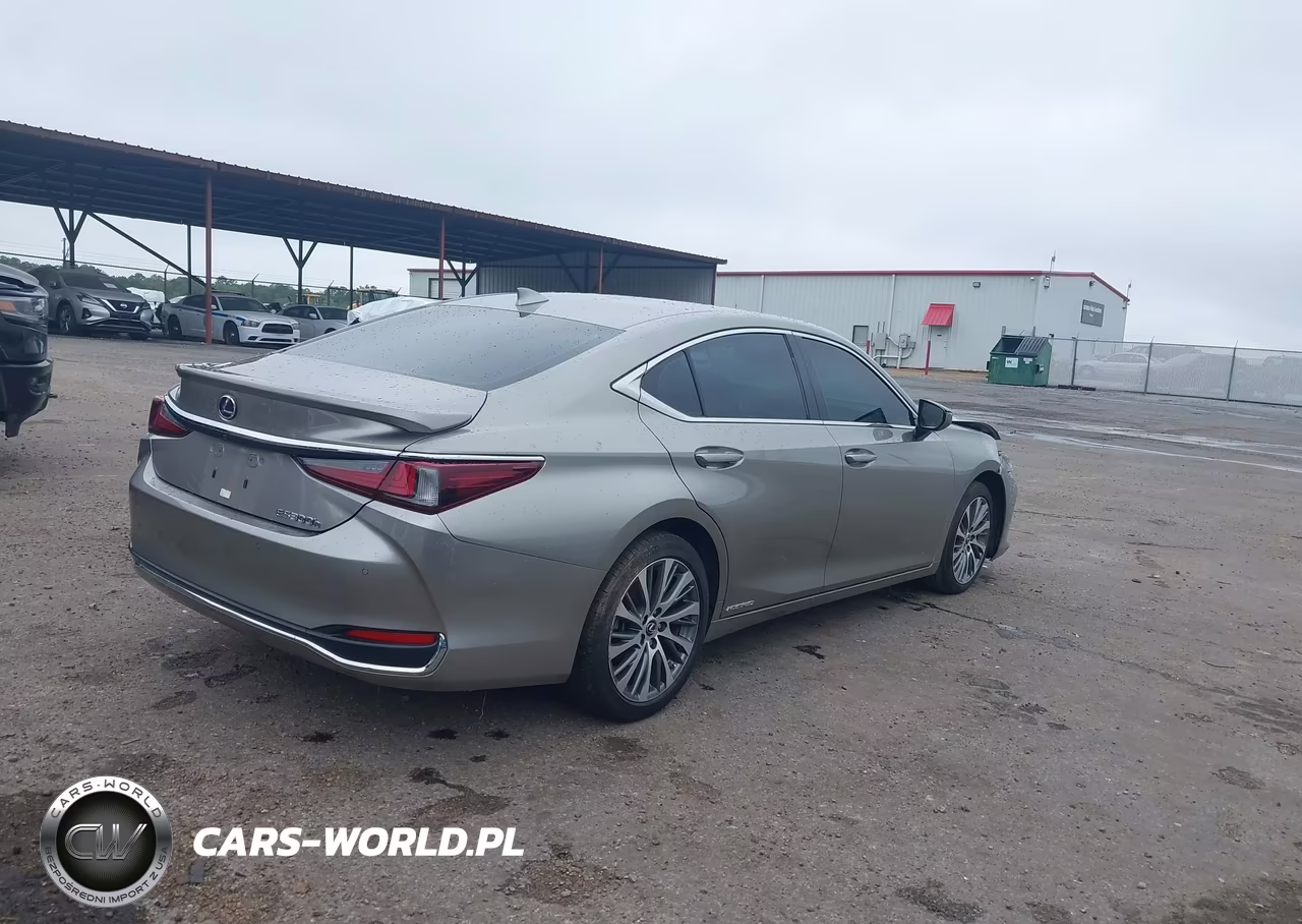 2020 Lexus Es 300H VIN:58AD21B14LU011785 - 4
