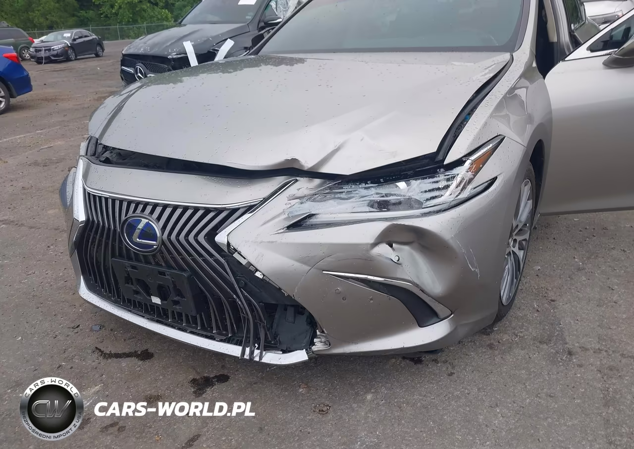 2020 Lexus Es 300H VIN:58AD21B14LU011785 - 6