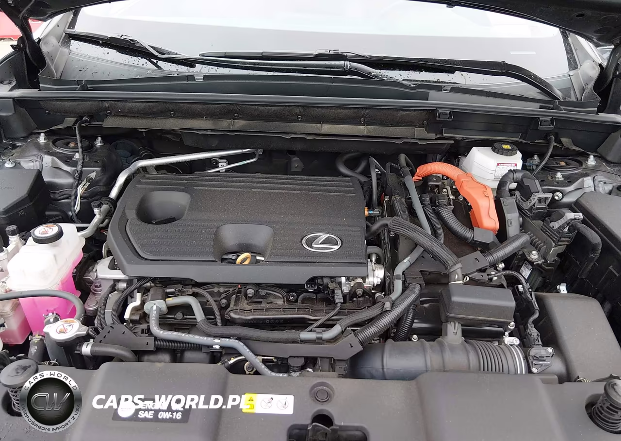 2024 Lexus Nx 350H VIN:2T2AKCEZ5RC016684 - 10
