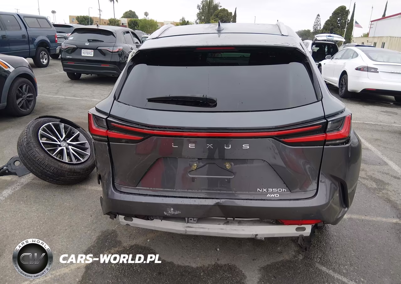 2024 Lexus Nx 350H VIN:2T2AKCEZ5RC016684 - 17