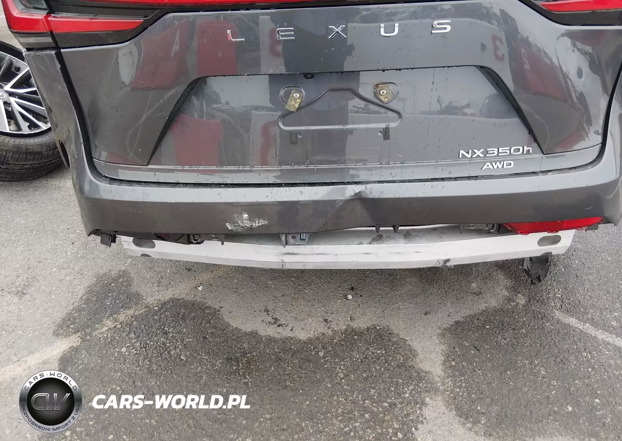 2024 Lexus Nx 350H VIN:2T2AKCEZ5RC016684 - 18