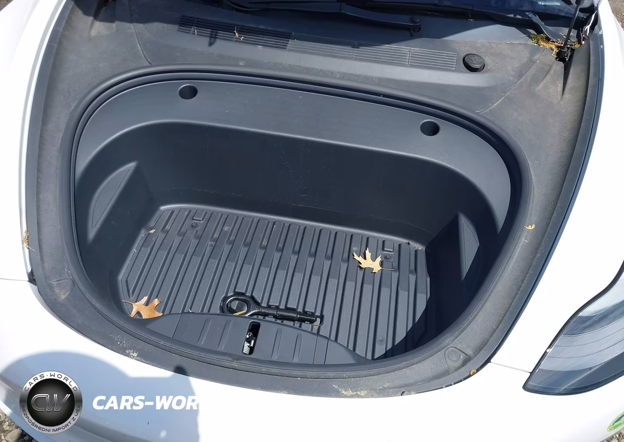 2021 Tesla Model 3 Standard Range Plus Rear-Wheel Drive VIN:5YJ3E1EA7MF099039 - 10