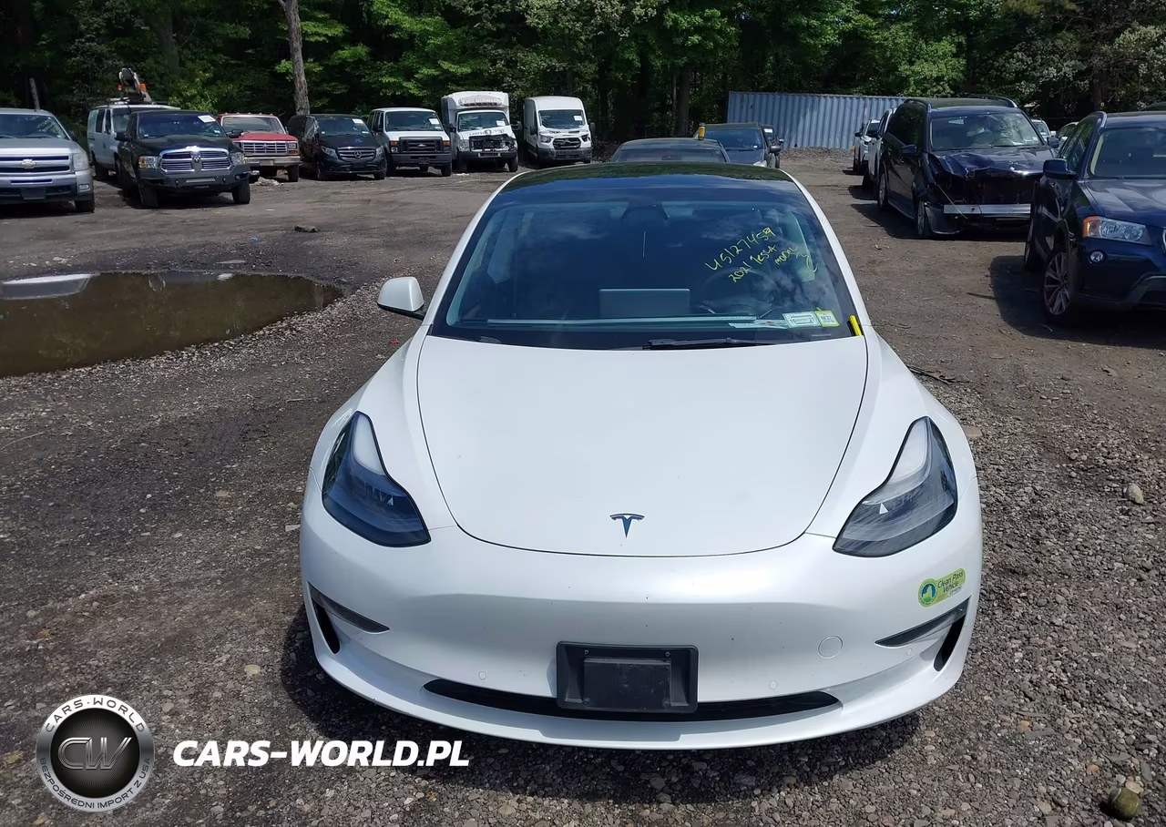 2021 Tesla Model 3 Standard Range Plus Rear-Wheel Drive VIN:5YJ3E1EA7MF099039 - 12