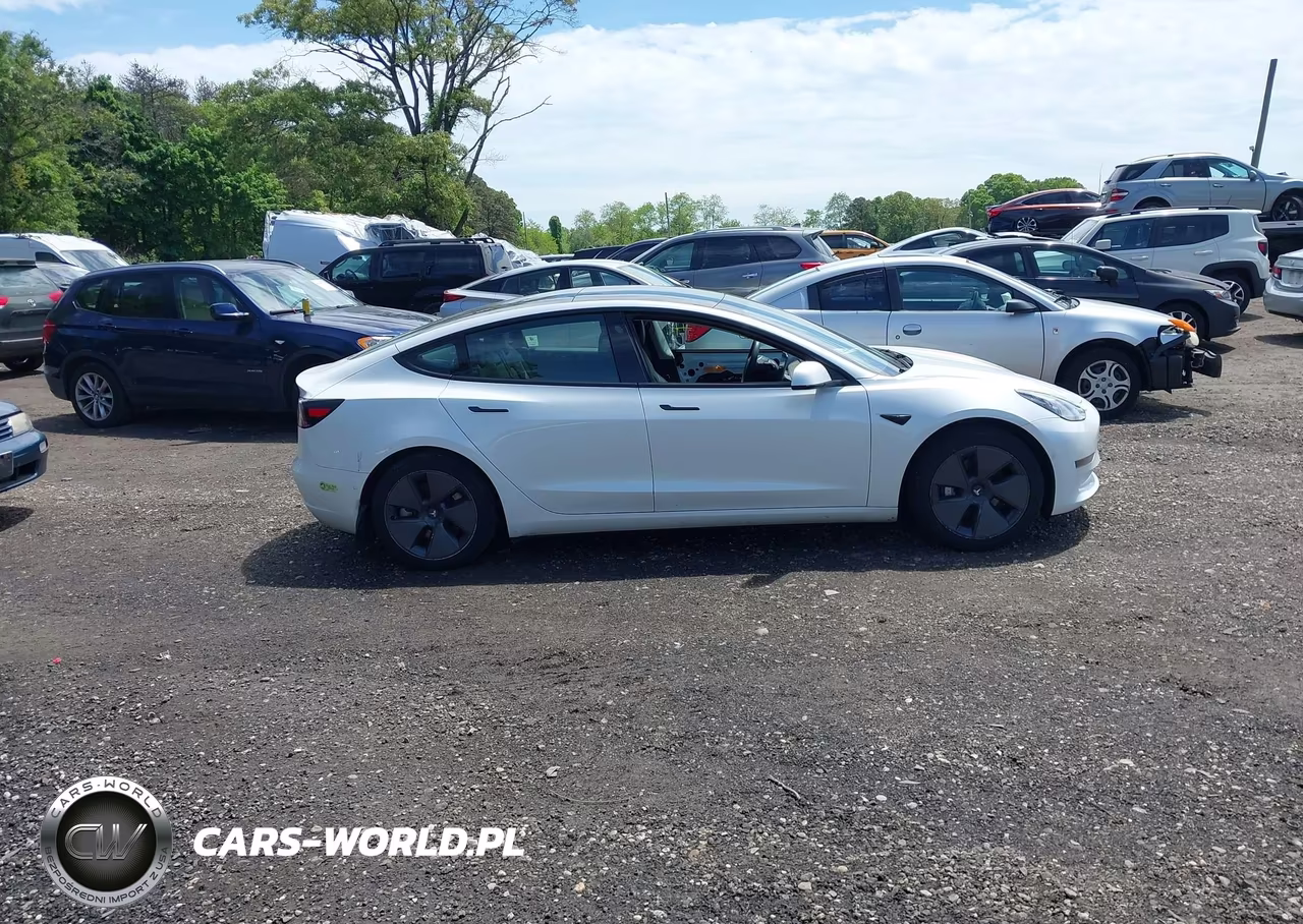 2021 Tesla Model 3 Standard Range Plus Rear-Wheel Drive VIN:5YJ3E1EA7MF099039 - 13