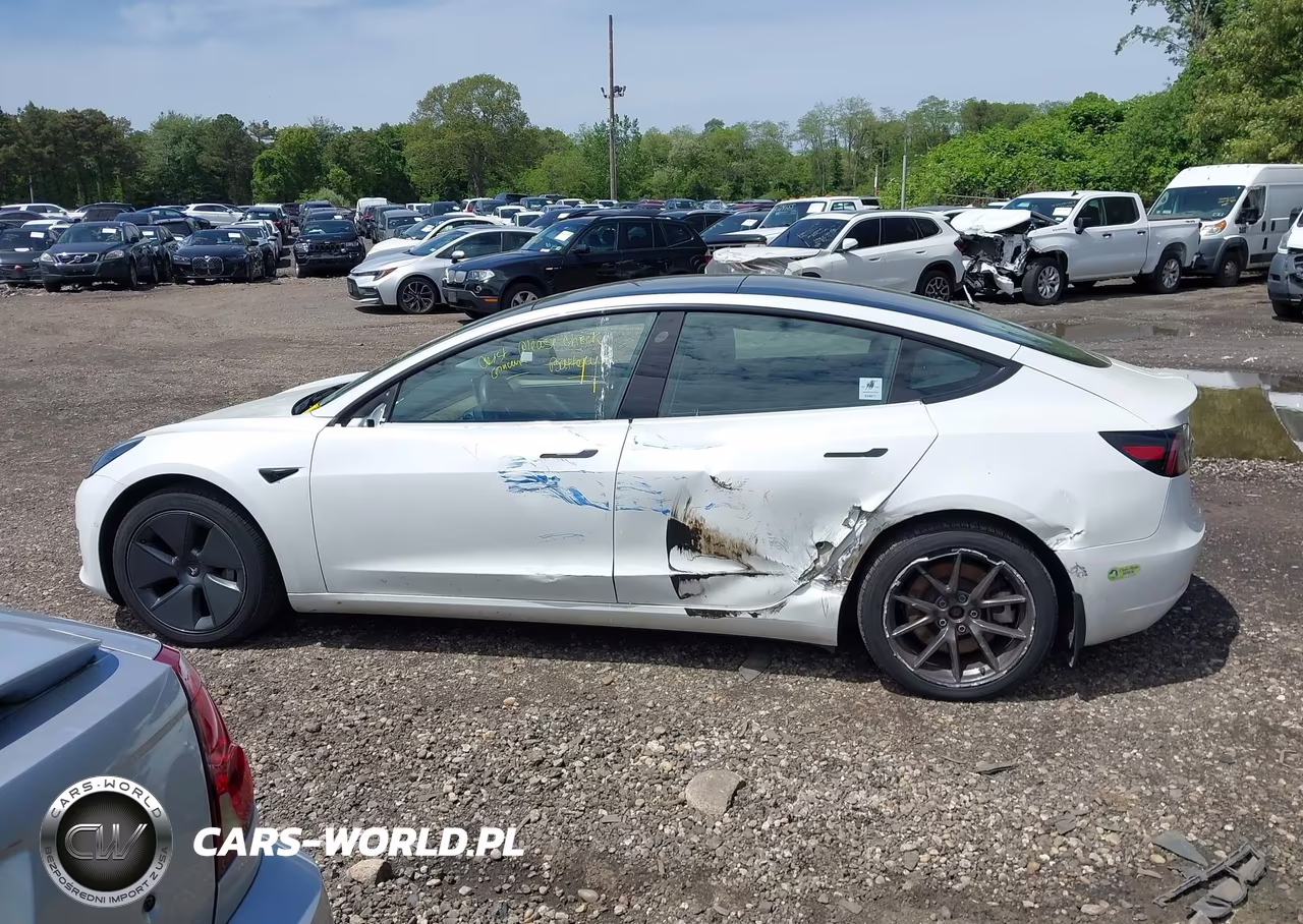 2021 Tesla Model 3 Standard Range Plus Rear-Wheel Drive VIN:5YJ3E1EA7MF099039 - 14