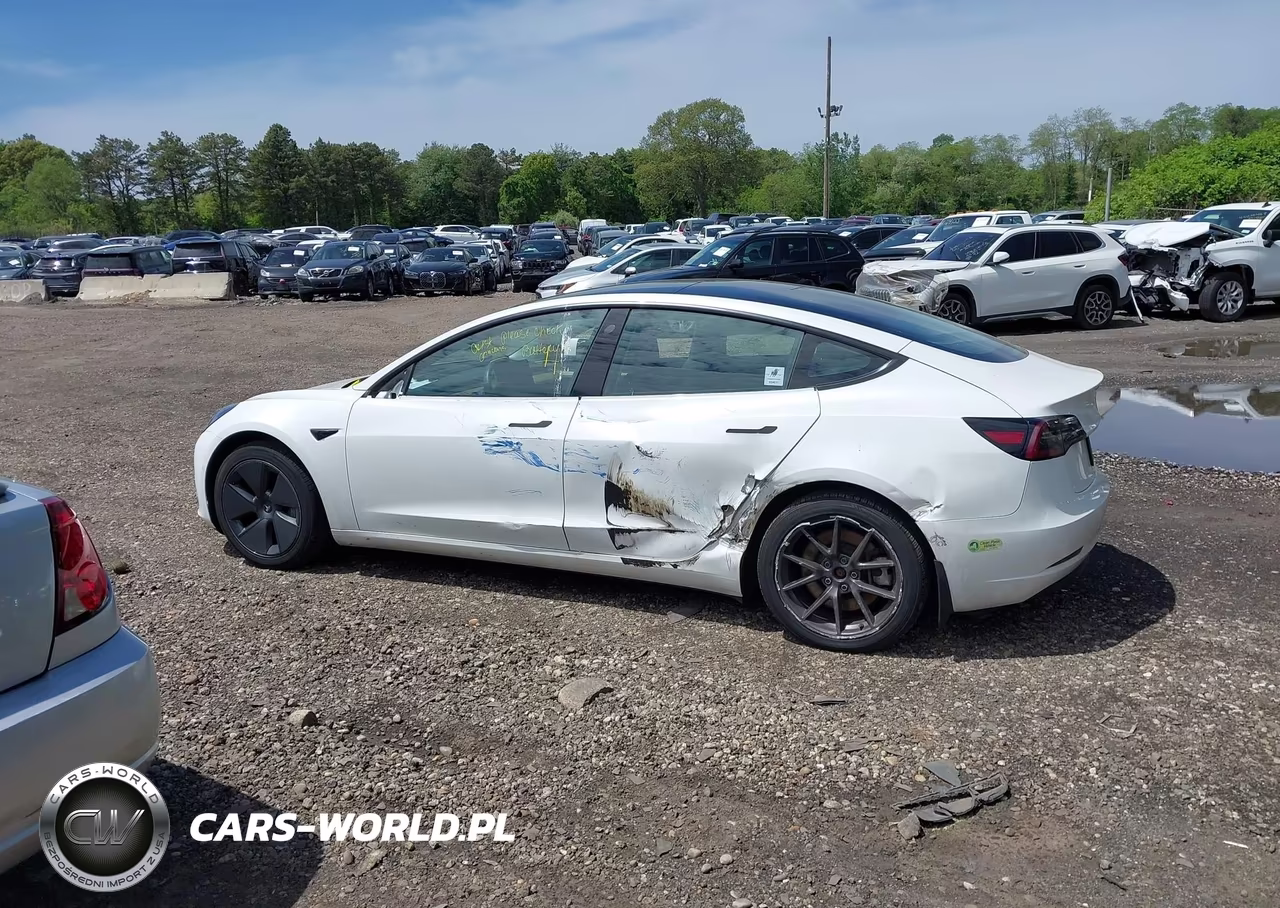 2021 Tesla Model 3 Standard Range Plus Rear-Wheel Drive VIN:5YJ3E1EA7MF099039 - 3