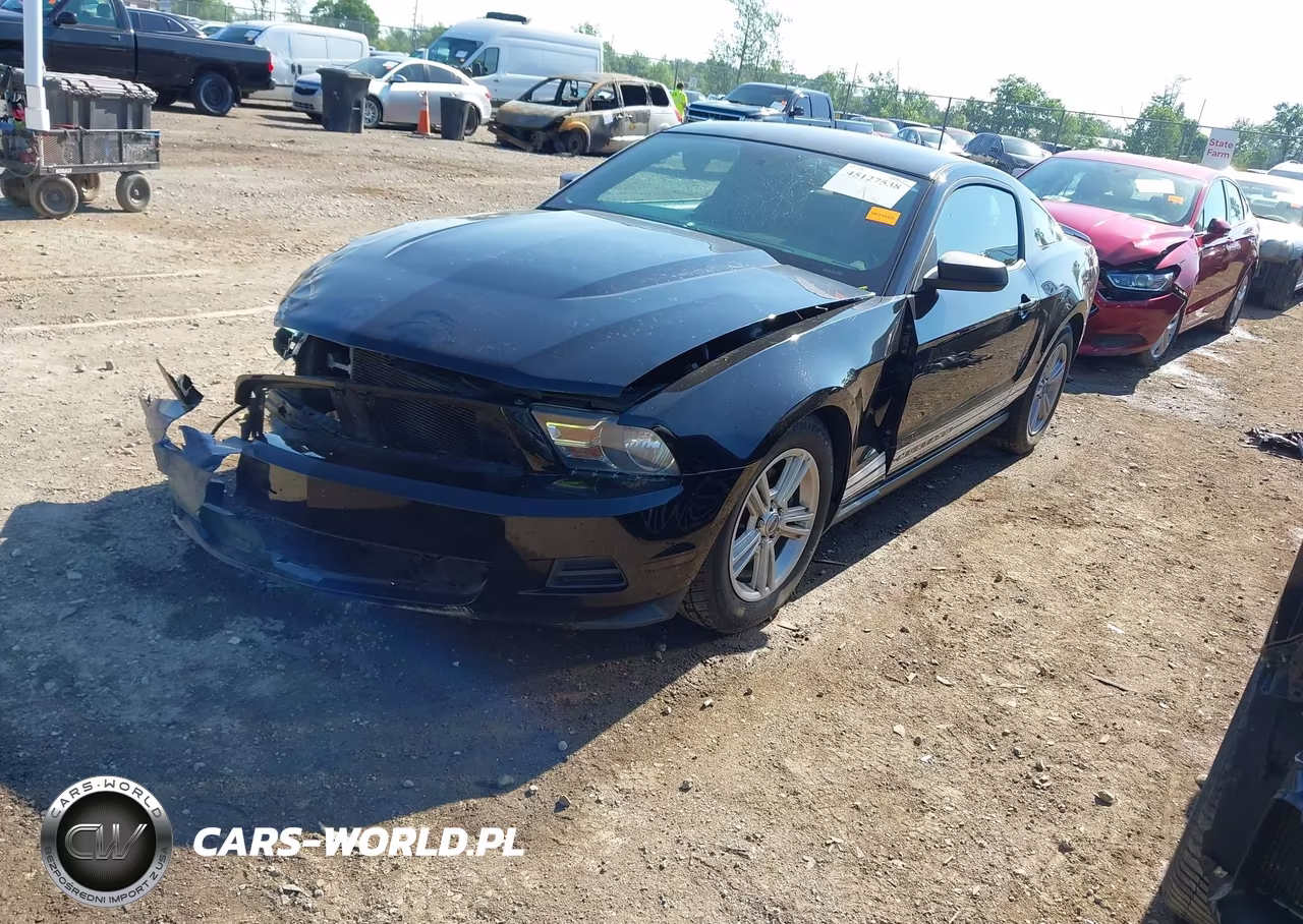 2012 Ford Mustang V6 VIN:1ZVBP8AM3C5278013 - 2