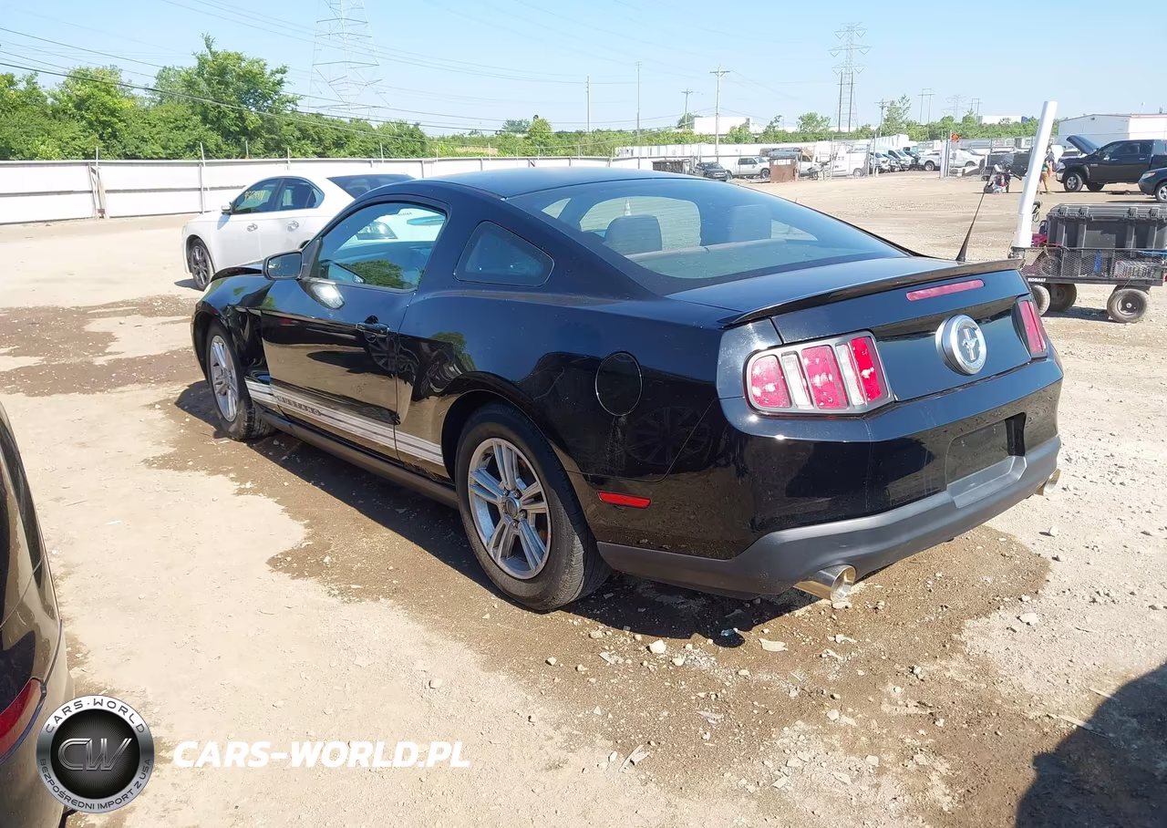 2012 Ford Mustang V6 VIN:1ZVBP8AM3C5278013 - 3