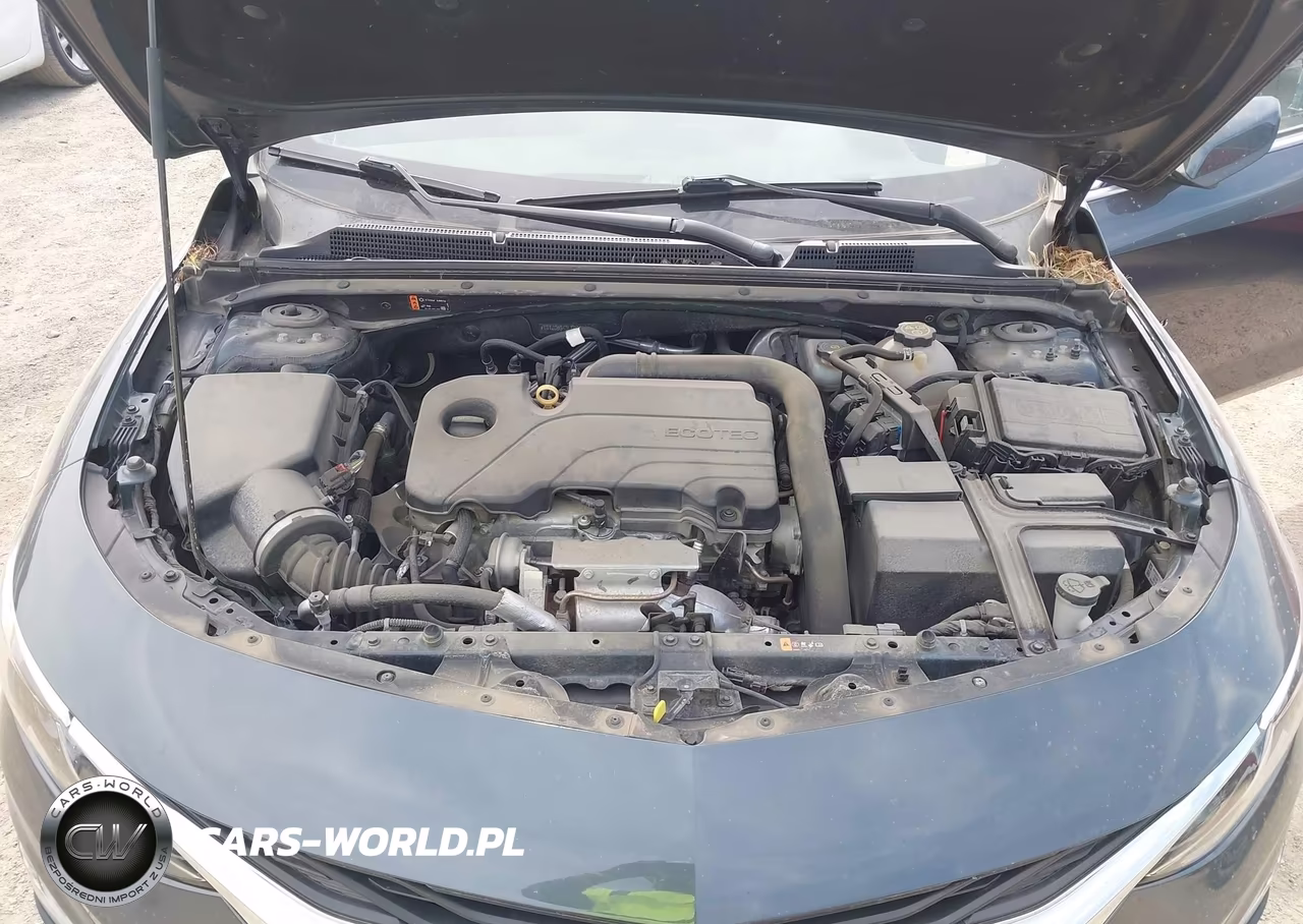 2020 Chevrolet Malibu Fwd Lt VIN:1G1ZD5ST3LF008278 - 10