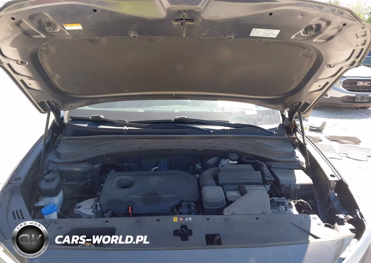 2020 Hyundai Santa Fe Sel VIN:5NMS3CADXLH252250 - 10