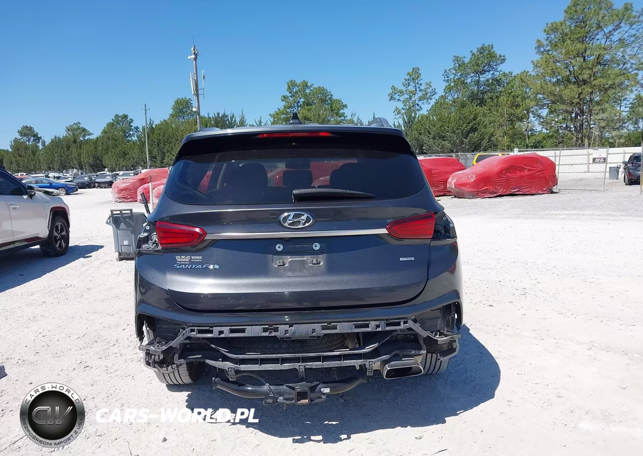 2020 Hyundai Santa Fe Sel VIN:5NMS3CADXLH252250 - 17