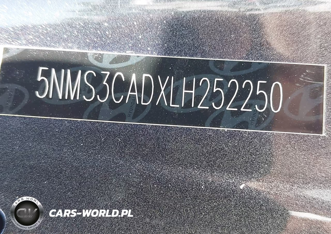2020 Hyundai Santa Fe Sel VIN:5NMS3CADXLH252250 - 9