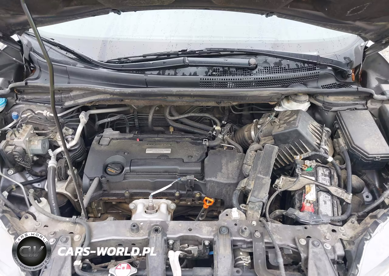 2016 Honda Cr-V Lx VIN:3CZRM3H39GG701079 - 10