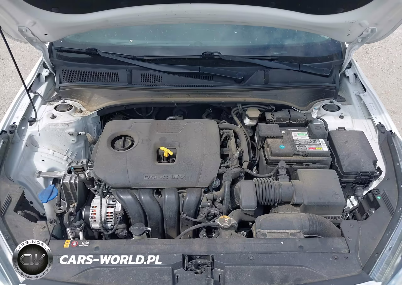2020 Kia Forte Fe VIN:3KPF24AD4LE191110 - 10