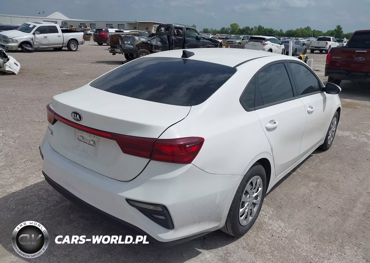 2020 Kia Forte Fe VIN:3KPF24AD4LE191110 - 4