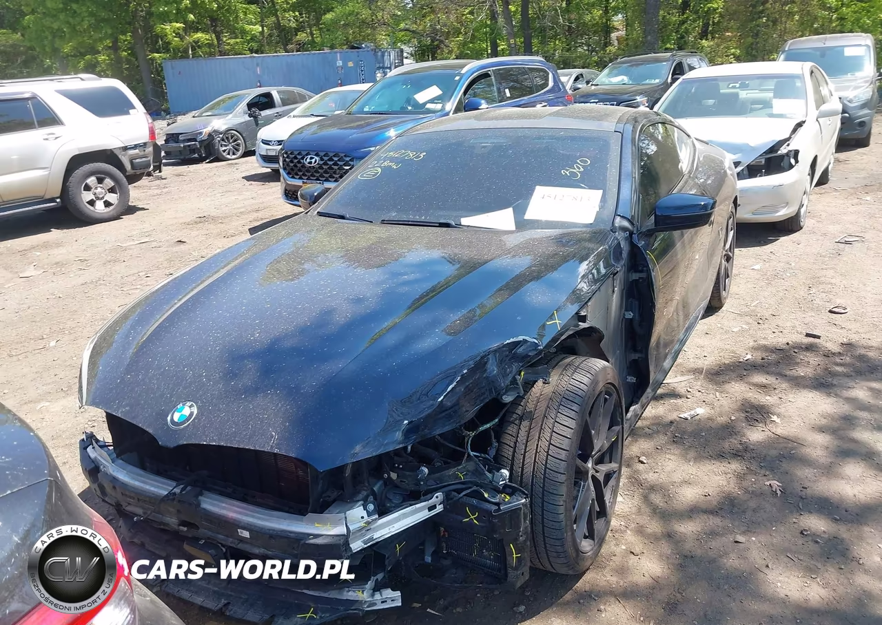 2022 BMW M850I xDrive VIN:WBABC4C00NCH33920 - 12