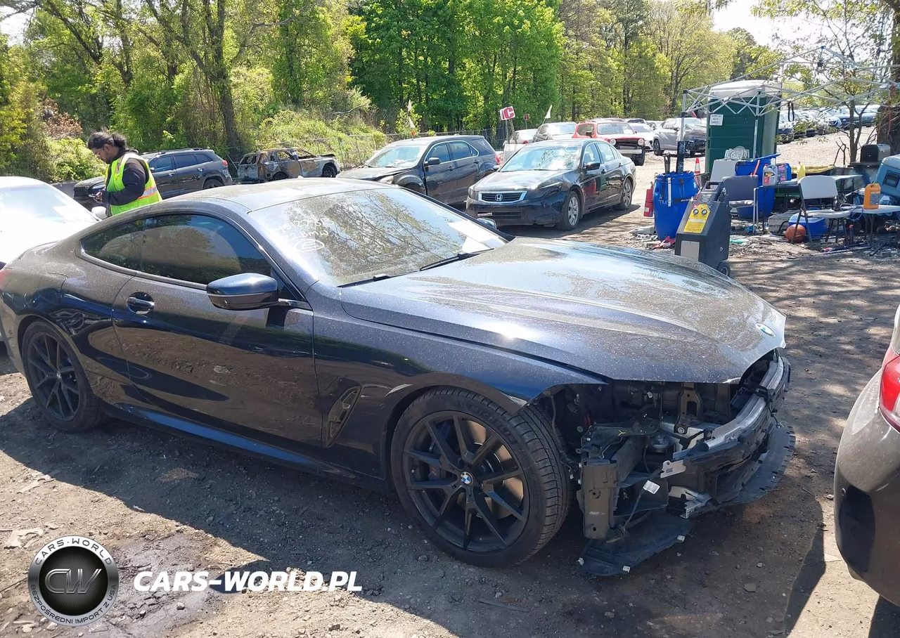 2022 BMW M850I xDrive VIN:WBABC4C00NCH33920 - 13