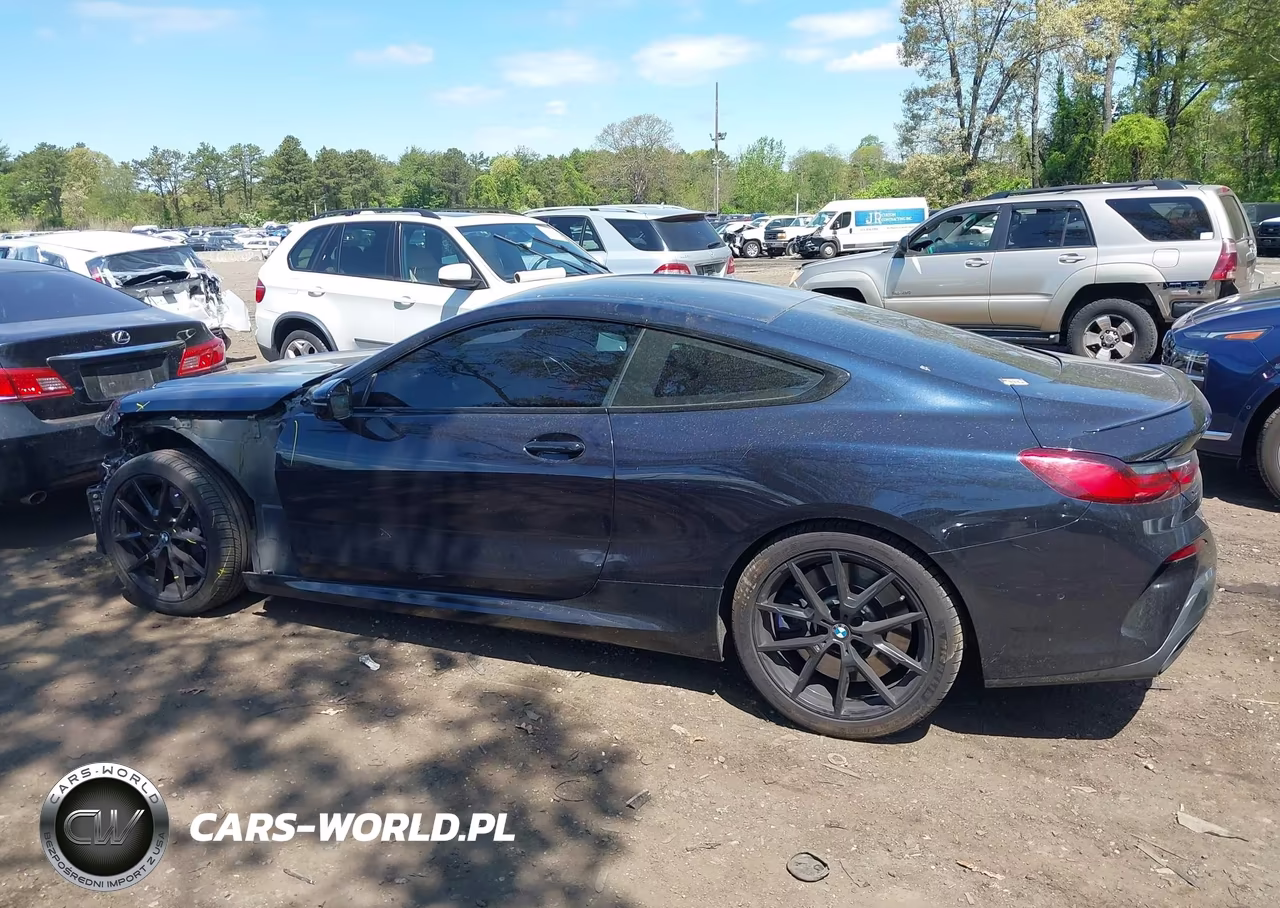 2022 BMW M850I xDrive VIN:WBABC4C00NCH33920 - 14