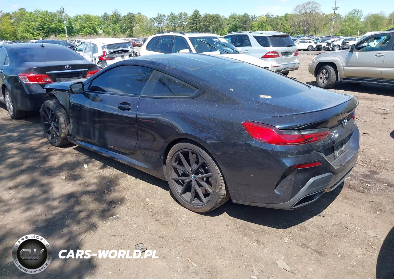 2022 BMW M850I xDrive VIN:WBABC4C00NCH33920 - 3