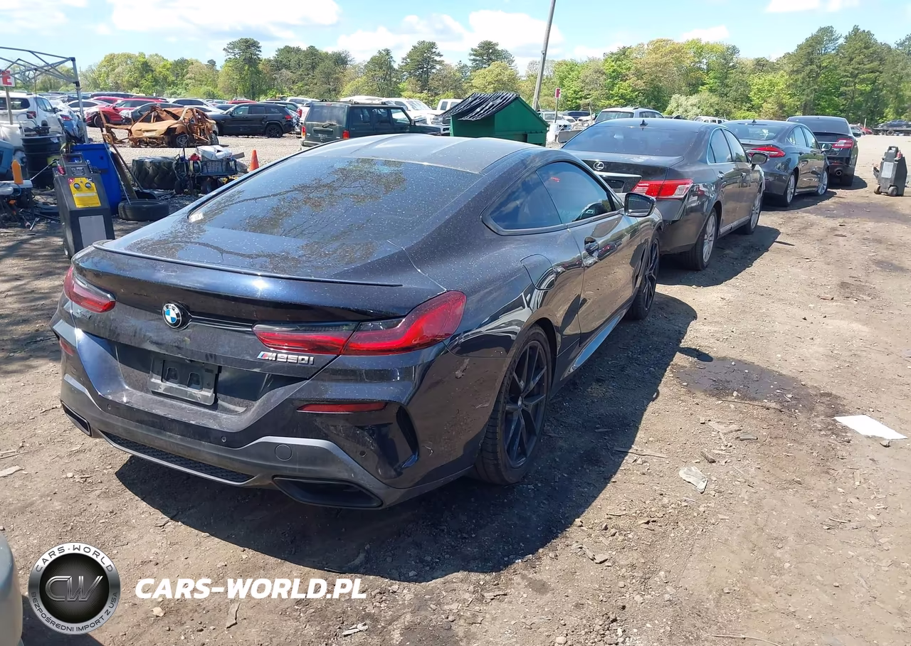 2022 BMW M850I xDrive VIN:WBABC4C00NCH33920 - 4