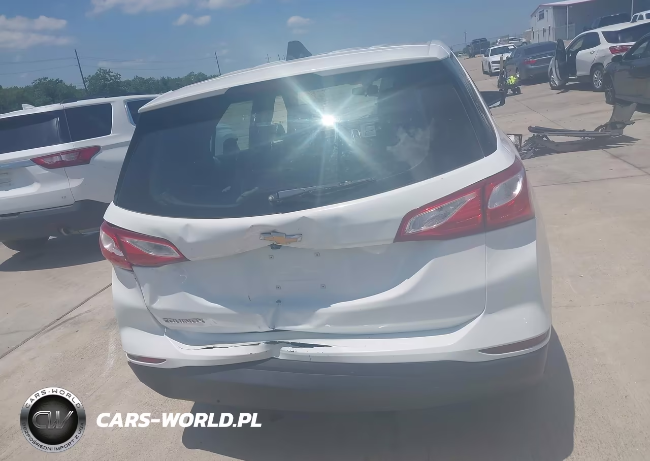 2019 Chevrolet Equinox Ls VIN:2GNAXHEV9K6100490 - 16