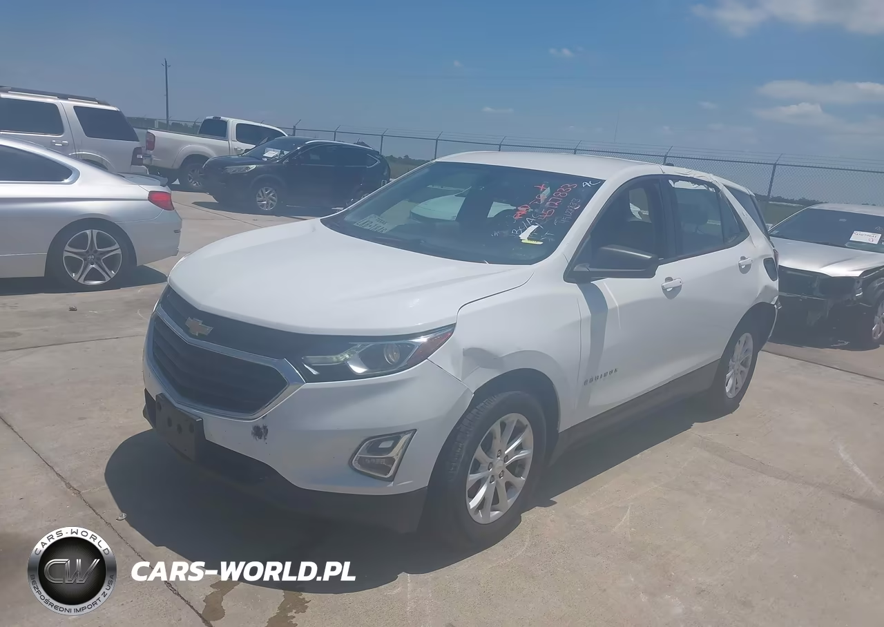 2019 Chevrolet Equinox Ls VIN:2GNAXHEV9K6100490 - 2