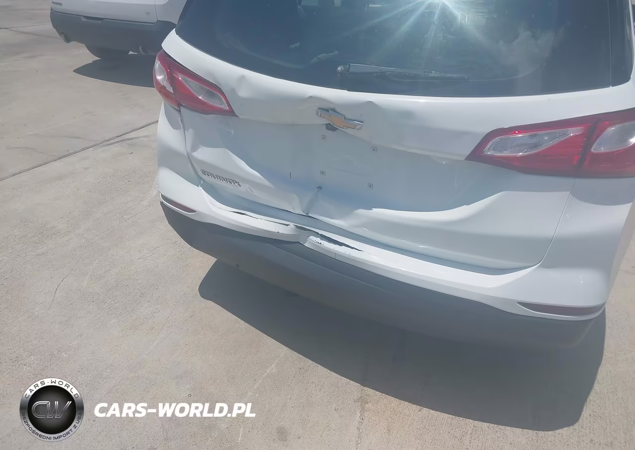 2019 Chevrolet Equinox Ls VIN:2GNAXHEV9K6100490 - 6