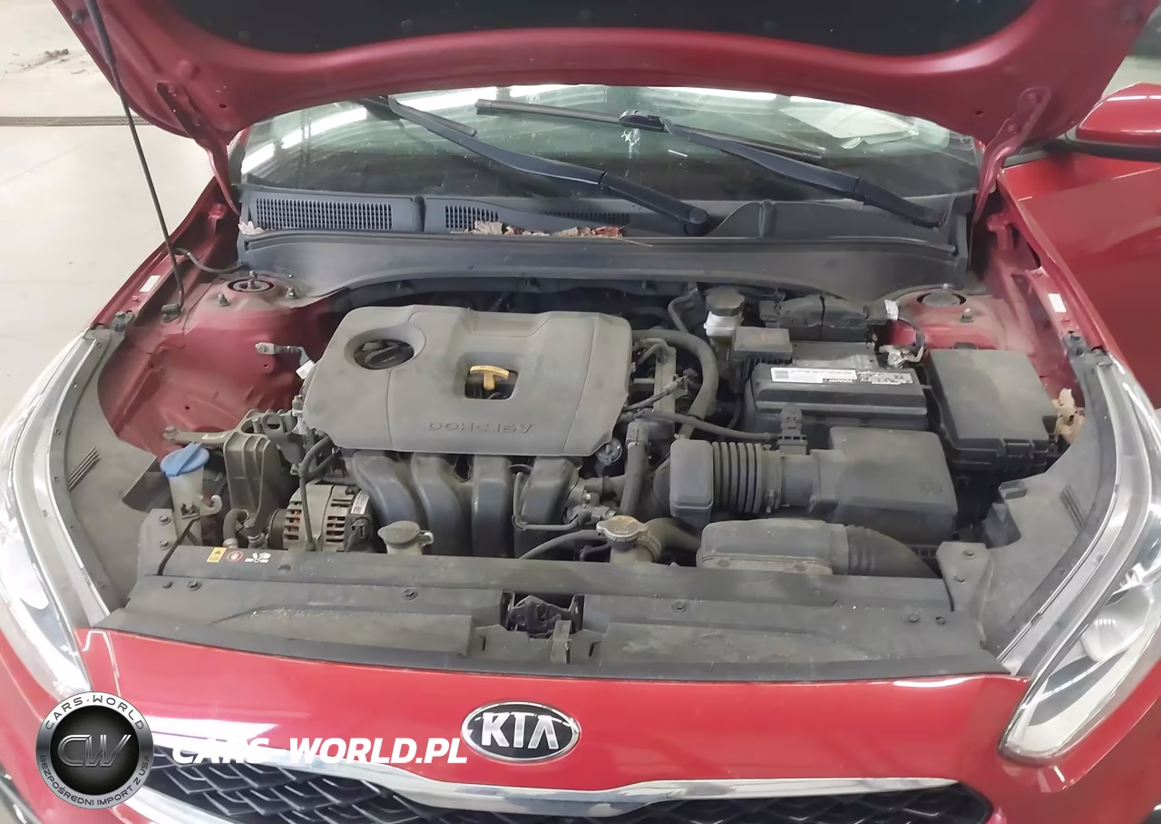 2019 Kia Forte S VIN:3KPF34AD6KE013825 - 10