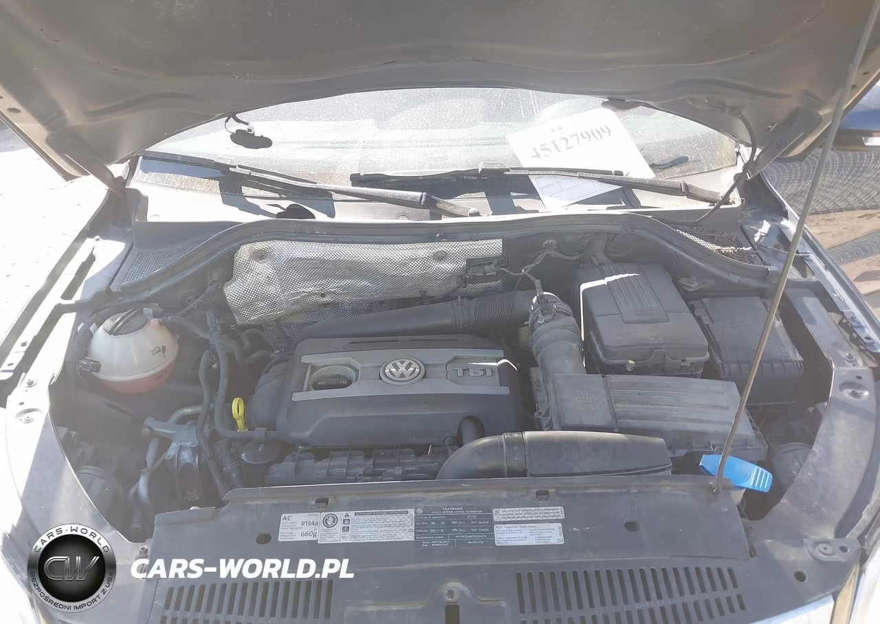 2011 Volkswagen Tiguan Se VIN:WVGBV7AX4BW566379 - 10